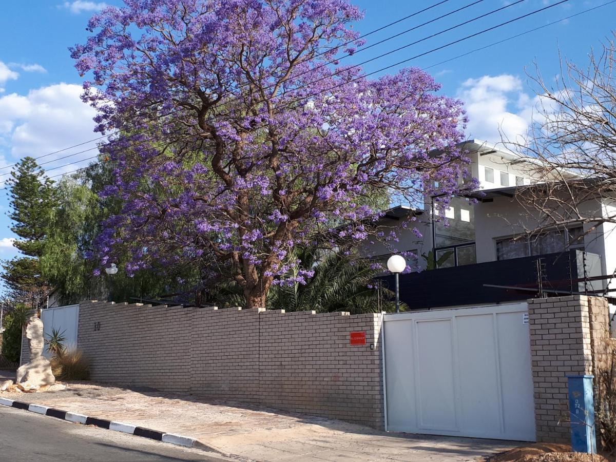 Suiderhof Self-Catering Hotel Windhoek Buitenkant foto